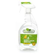 PawGanics Foaming Stain and Odor Remover Best Price