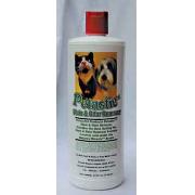 Petastic Stain And Odor Remover Best Price