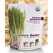 Pet Greens Garden Self Grow Pet Grass Kit Best Price