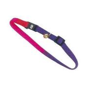 Cat Ultra-Safe Clr/Bell Best Price