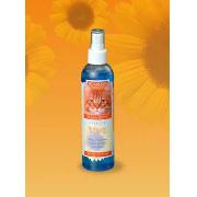 Klean Kitty Waterless Shampoo 8Oz Best Price