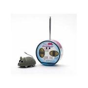 Remote Controlled Micro Mouse Best Price