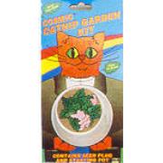 Cosmic Catnip Garden Best Price