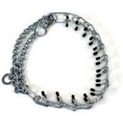 Prong Training Collar Best Price