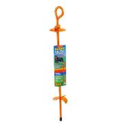 Giant Tie-Out Stake Best Price