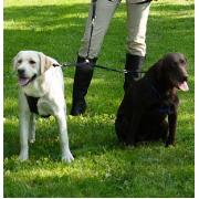 Double Dog Coupler Best Price