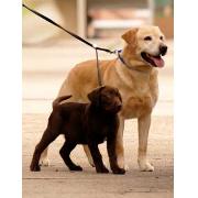 Double Dog Leash Black Best Price