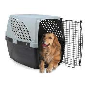 Pet Suite Best Price