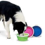 Collapsible Travel Bowl Cup Best Price