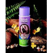 Fresh Essence Cologne Best Price