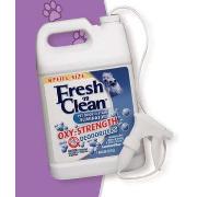 Fresh N Clean Oxy Remover Best Price