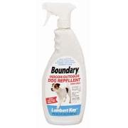 Boundary Dog Best Price
