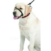 Head Halter - Black Best Price