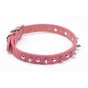 C Lth Oaktan Spike Collar Best Price