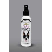 White Ginger Cologne 4 Oz Best Price