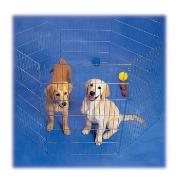 Prec Exercise Pen Silver Best Price