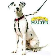 No Pull Halter - Large (Size: 16' - 24') Best Price