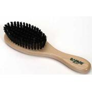 Safari Bristle Best Price