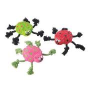 Crazy Legs Ladybug 5' Asst Best Price