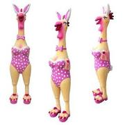 Charming Pet - Play Hen - Small Best Price