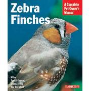 Zebra Finches Best Price