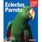 Eclectus Parrots Best Price