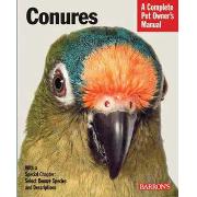 Conures Best Price