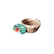 Canary Bamboo Nest Best Price