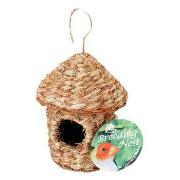 Finch Pagoda Top Hut Nest Best Price