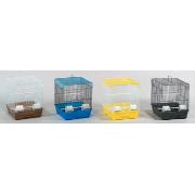 Advantage G1 Keet Cage Asst Bold Colors Best Price