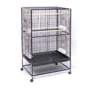 Flight Cage Large Floor 31X20x53'H Best Price