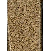 Oat Groats 50Lb Best Price