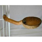 Coconut Cup Small Best Price