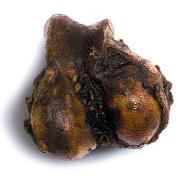 Cadet Natural Treats - 6-7' Meaty Smoked Knuckle Best Price
