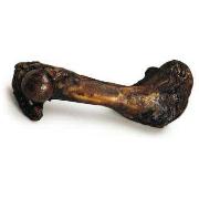 Cadet Natural Treats - Meaty Smoked Pig Femur Best Price