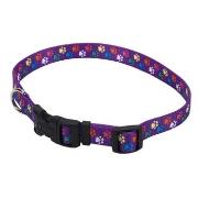 C Nyl Adj.Pattern Collar 5/8' Small-Spw Best Price
