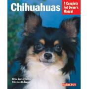 Chihuahuas Best Price