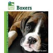 Animal Planet Boxers Best Price