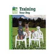 Animal Planet - Training Your Dog Best Price