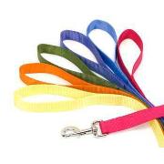 3/4' Nylon Lead 4Ft Pgr-Palm Grn Best Price