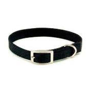 5/8' Nylon Collar 12' Bll-Blulagon Best Price