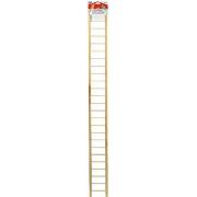 Cockatiel Wooden Bird Ladder 48' Best Price