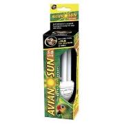 Avian Sun 5.0 Uvb Compact Fluorescent Best Price