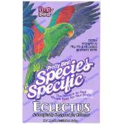 Eclectus Special 3Lb Best Price