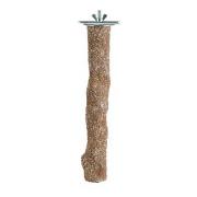 Beach Branch Calcium Perch Small Best Price