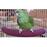 Cozy Corner Perch - Small Best Price