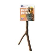 Pacific Cosmic Crunch Perch Small 6'L Best Price