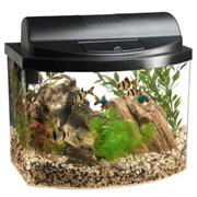 Aqueon Mini Bow Kit Black Best Price