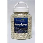 Db Ammonia Reducer Best Price