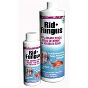 Kord Rid Fungus Best Price